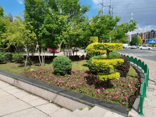 香坊區七大公園實施拆圍透綠改造 建設精品工程 構建綠色生態城區